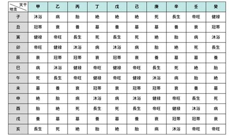 長生十二運|四柱推命の十二運：長生